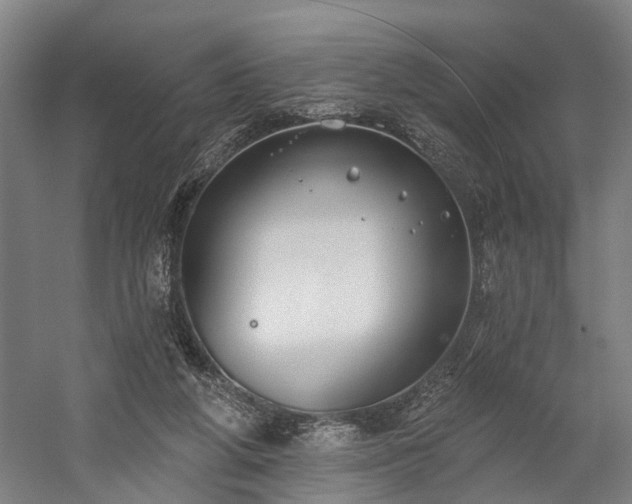X0000059840210200510241446