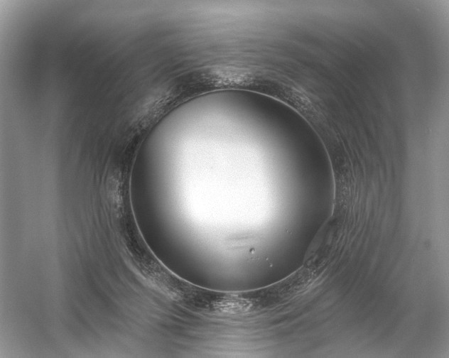 X0000059840215200510241446