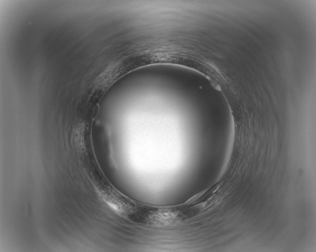 X0000059840217200510241446