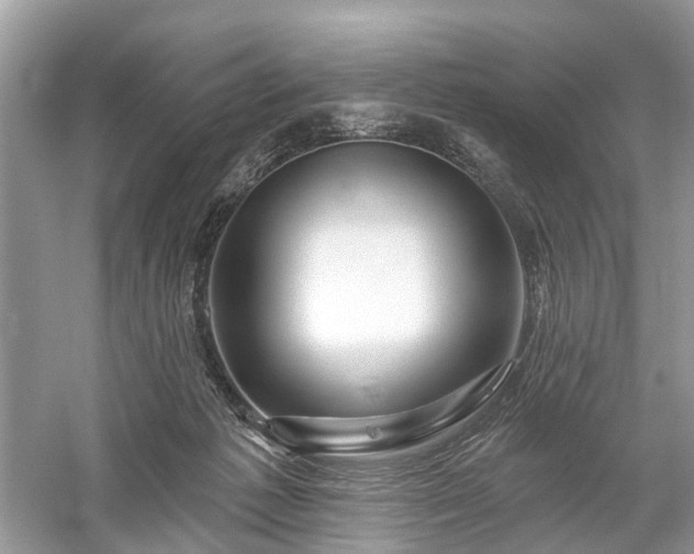 X0000059840221200510241446