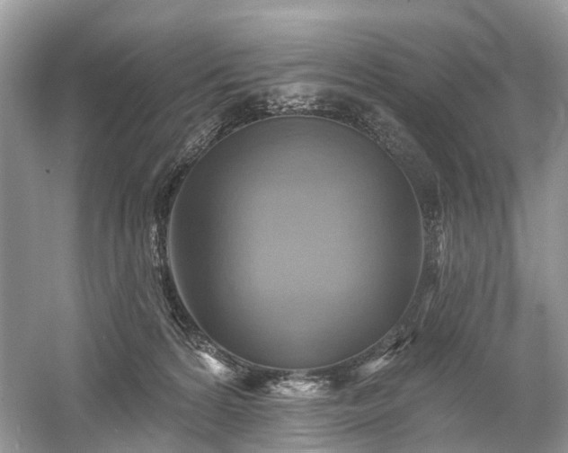 X0000059840224200510241446