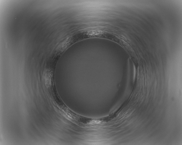 X0000059840227200510241446