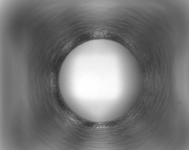X0000059840228200510241446