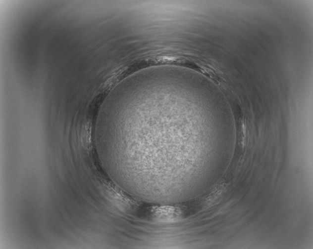 X0000059840230200510241446