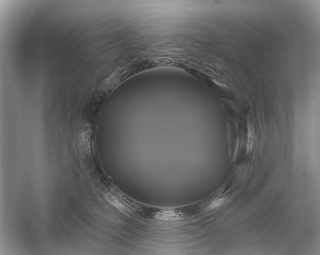 X0000059840231200510241446