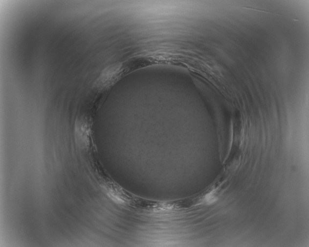 X0000059840235200510241446