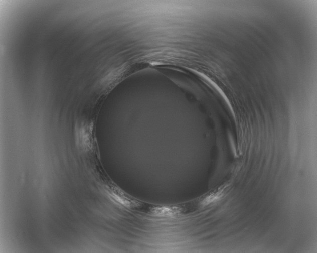 X0000059840239200510241446