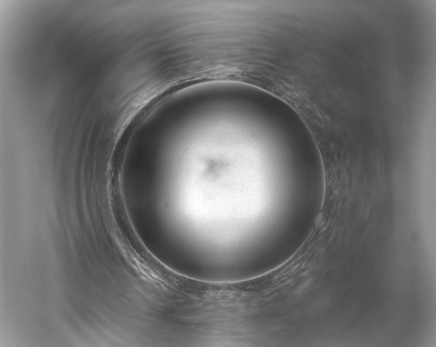X0000059840242200510241445