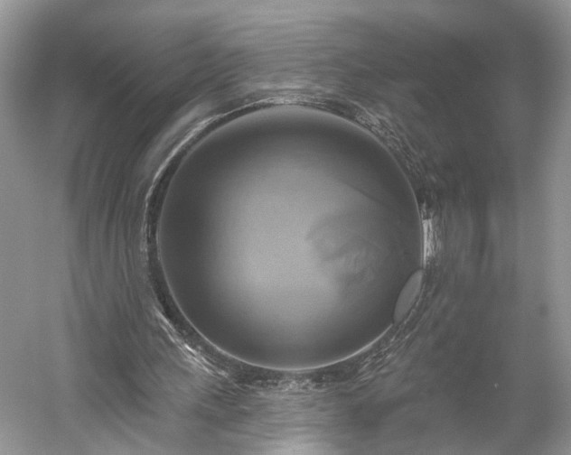X0000059840243200510241445