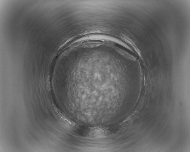 X0000059840249200510241445