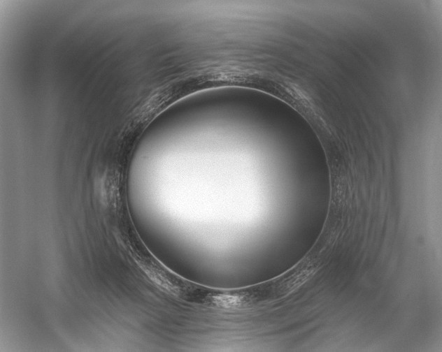 X0000059840265200510241445