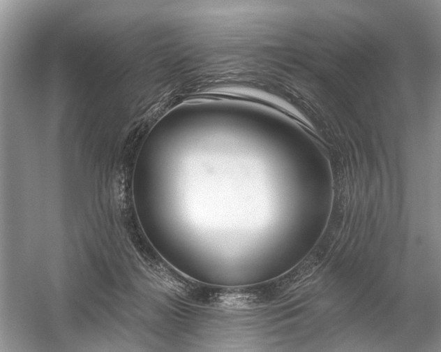 X0000059840268200510241445