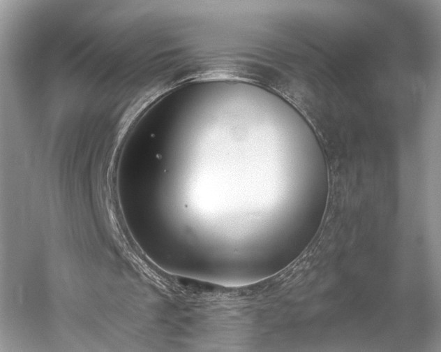 X0000059840289200510241445