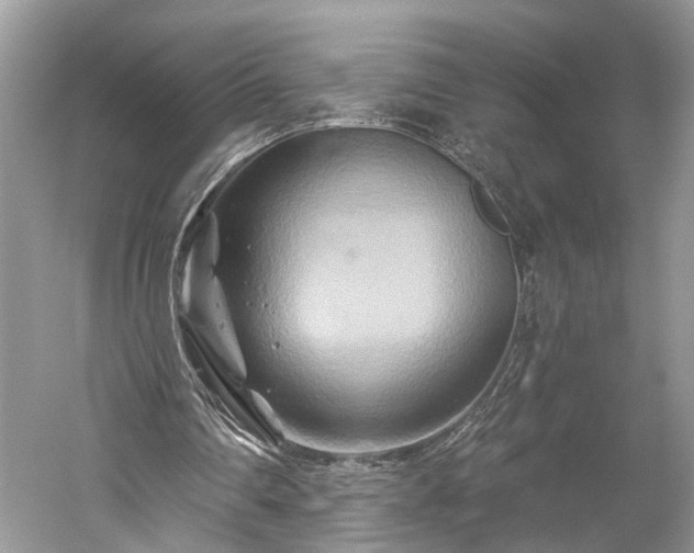 X0000059840290200510241445