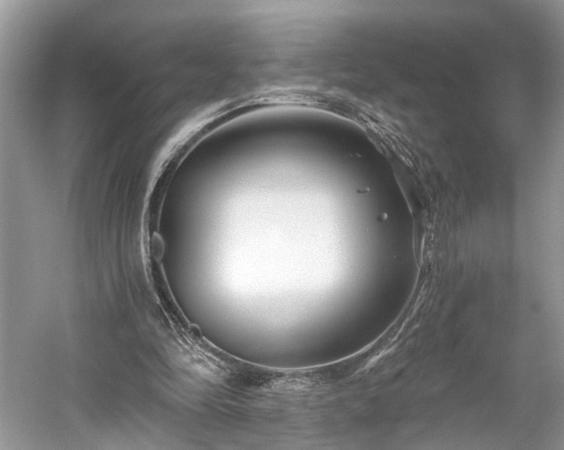 X0000059840294200510241445