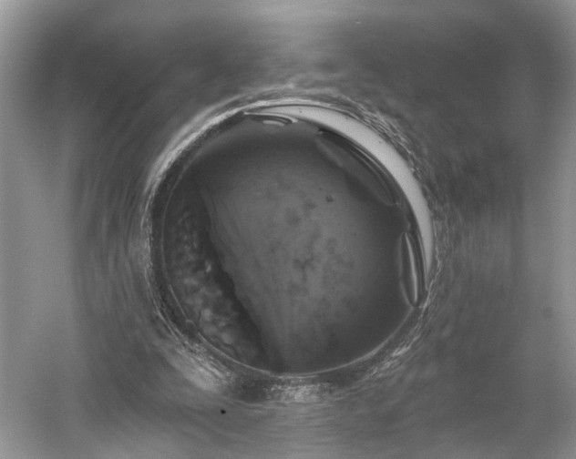 X0000059840295200510241445