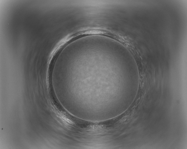 X0000059840296200510241445