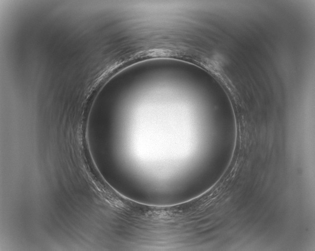 X0000059840297200510241445
