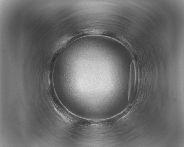 X0000059840302200510241444
