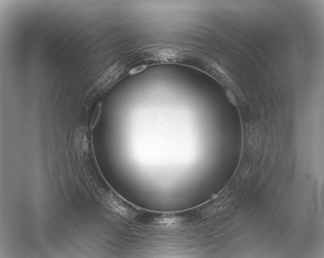 X0000059840313200510241444