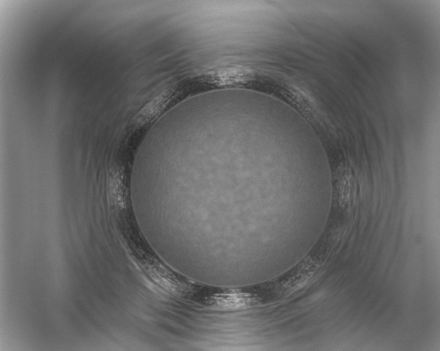 X0000059840316200510241444