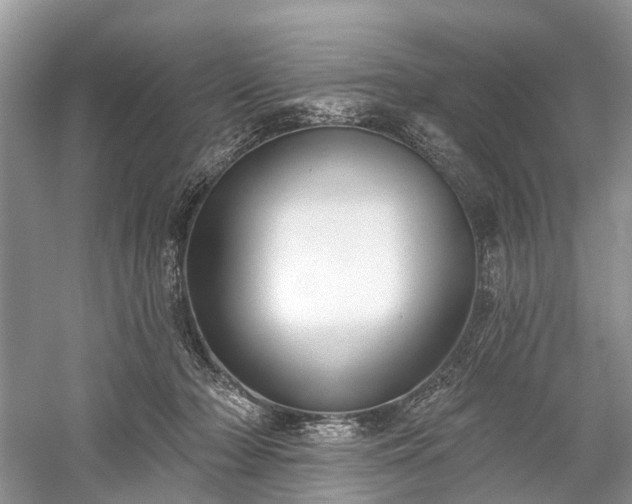 X0000059840318200510241444