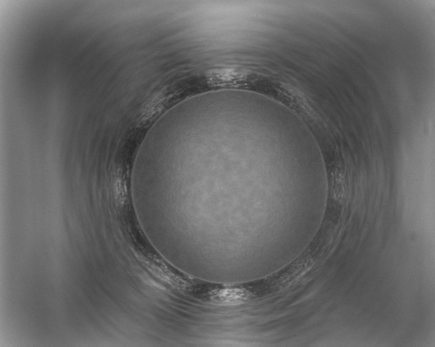 X0000059840324200510241444