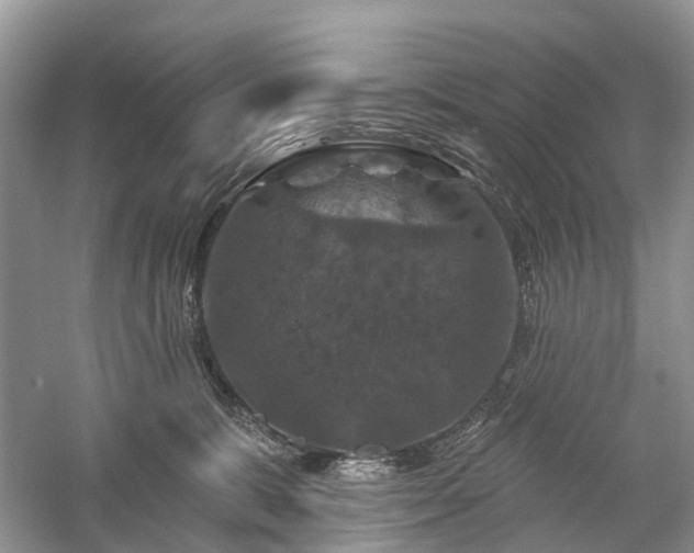 X0000059840327200510241444