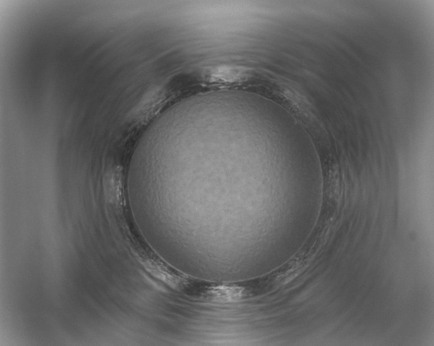 X0000059840328200510241444