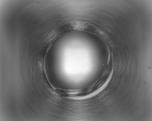 X0000059840329200510241444