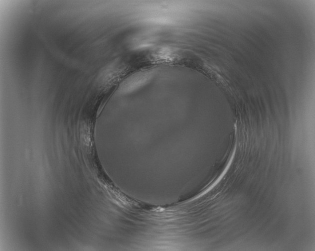 X0000059840331200510241444