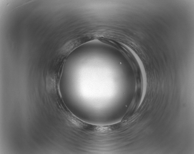 X0000059840333200510241444
