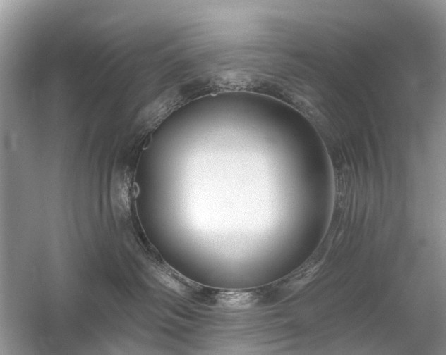 X0000059840334200510241444