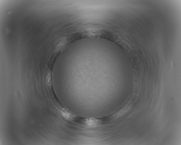 X0000059840336200510241444
