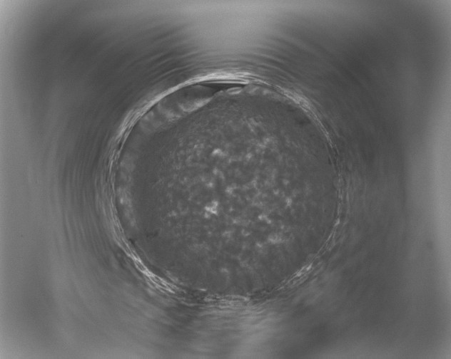 X0000059840337200510241443