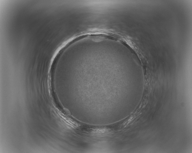 X0000059840342200510241443
