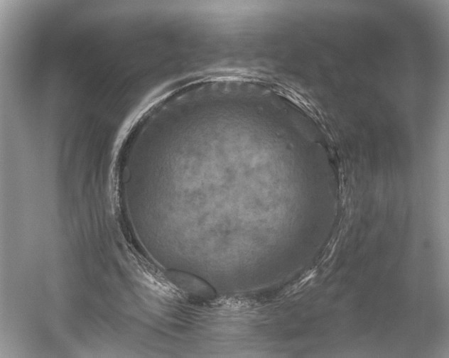 X0000059840343200510241443