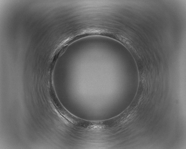 X0000059840352200510241443