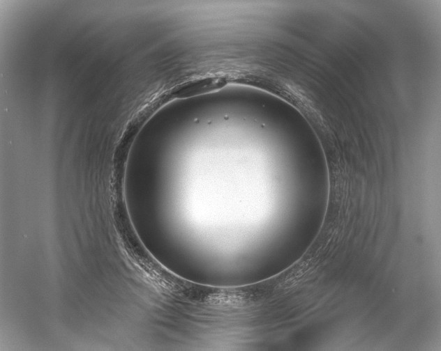 X0000059840354200510241443