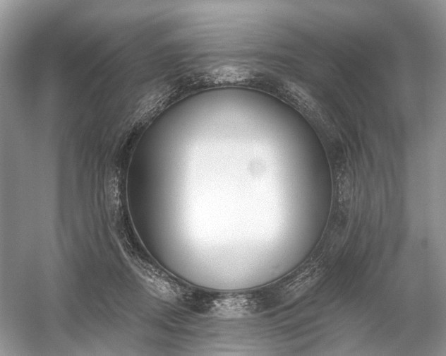 X0000059840362200510241443