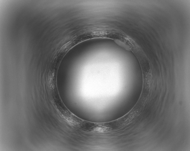 X0000059840364200510241444