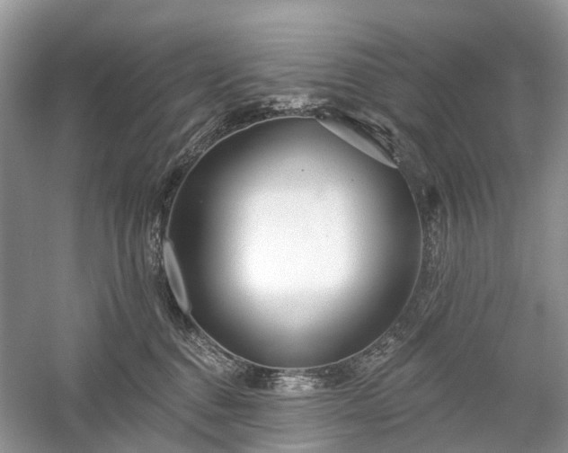 X0000059840376200510241444