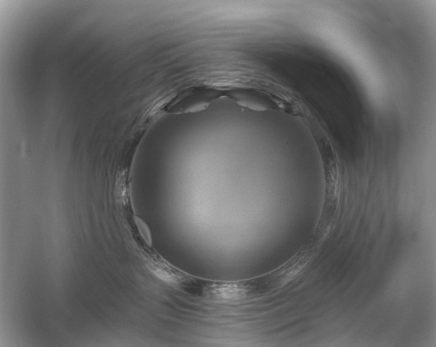 X0000059840383200510241444