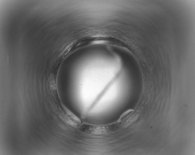 X0000059840384200510241444