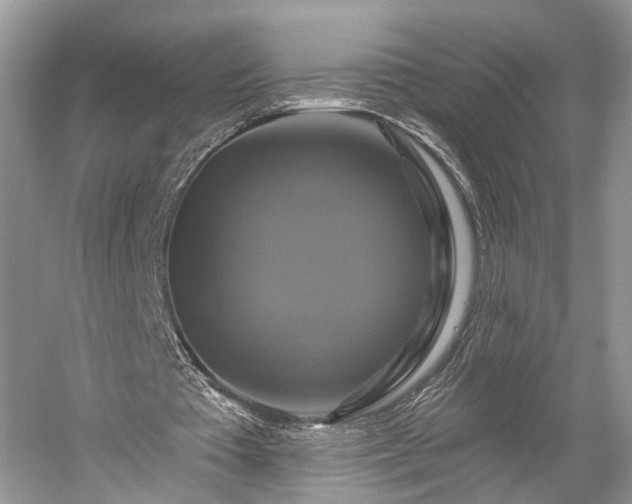 X0000059840385200510241443