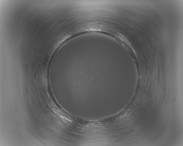 X0000059840386200510241443