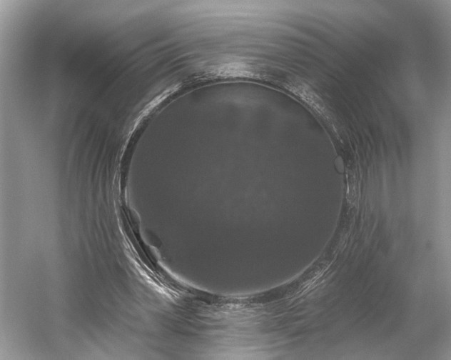 X0000059840390200510241443