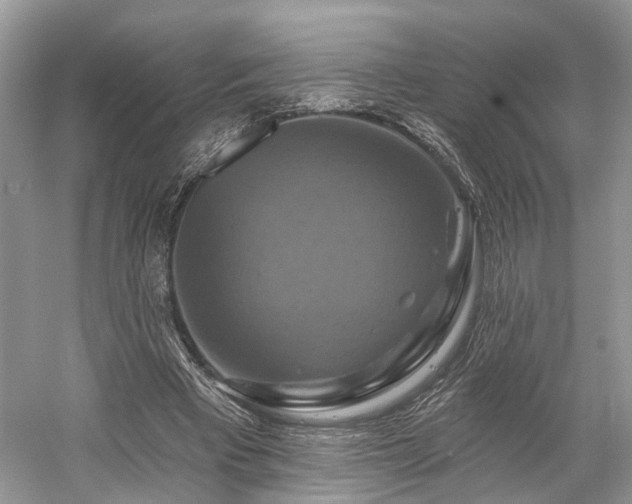X0000059840393200510241443