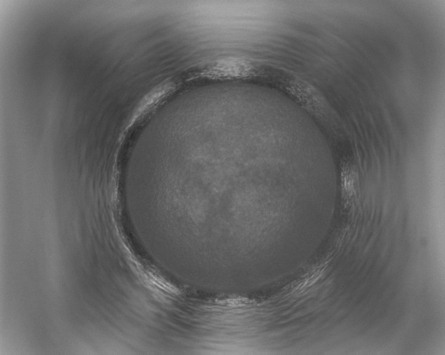 X0000059840396200510241443