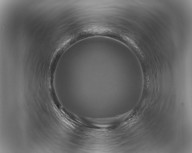 X0000059840399200510241443